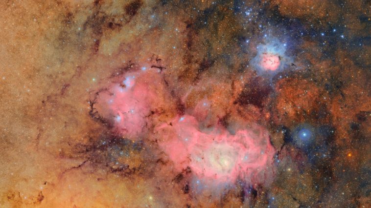 Cosmic Movie Sky Survey, Cyborg Cockroaches & More