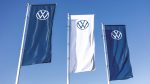 VW Solar Farm Poland: 100 Sheep for Green Maintenance VW Solar Farm Poland: 100 Sheep for Green Maintenance