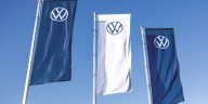VW Solar Farm Poland: 100 Sheep for Green Maintenance