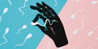Scientists Inch Closer: Creating Human Sperm in Lab