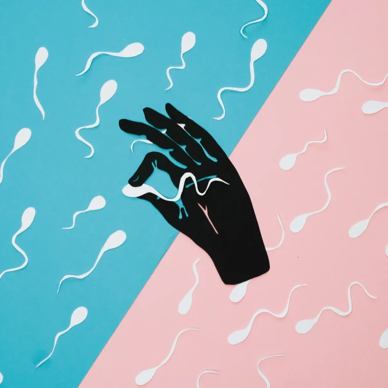 Scientists Inch Closer: Creating Human Sperm in Lab