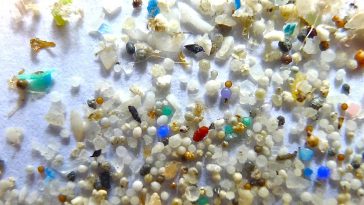 Microplastics contaminate human blood, says new study