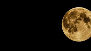Plants grow in lunar soil for first time