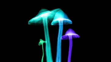 Alzheimer's Breakthrough: Magic Mushrooms Help Woman