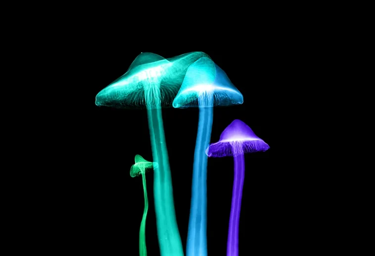 Alzheimer's Breakthrough: Magic Mushrooms Help Woman