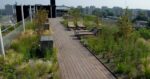 Green Roofs Are Great. Blue-Green Roofs Are Even Better Green Roofs Are Great. Blue-Green Roofs Are Even Better