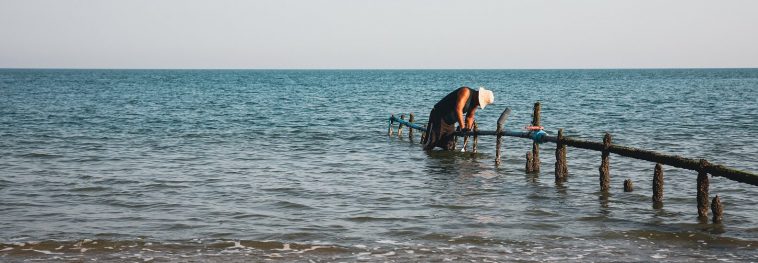 Who is to blame for the UK sea sewage scandal?