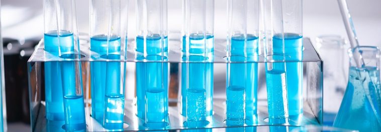 Would engineering new species help fight climate change?