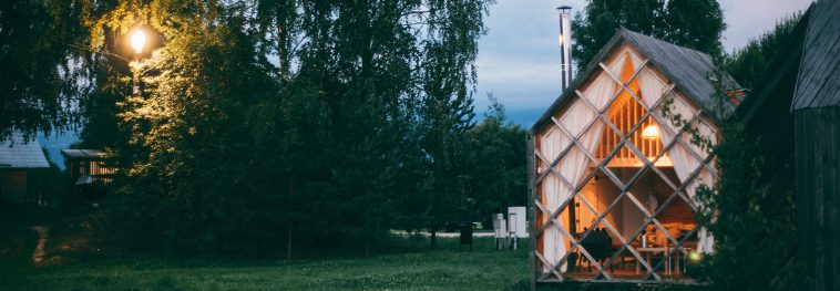 11 perfect tiny plants to decorate your tiny home