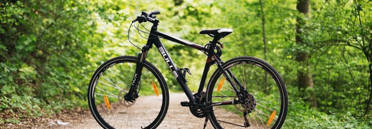 14 e-bikes you've heard of, and some you likely haven't