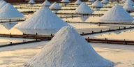<p><strong>Sodium Batteries: Cheap, Abundant, Rivaling Lithium</strong></p>