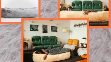 The Human Dog Bed We Love Is on Sale Right Now