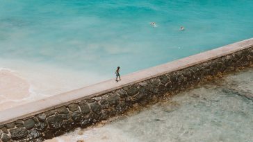 New seawall designs could help marine life thrive