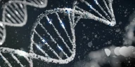 Rare Gene Variant Slashes Diabetes & Heart Disease Risk