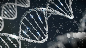 Rare Gene Variant Slashes Diabetes & Heart Disease Risk