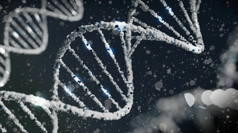 Rare Gene Variant Slashes Diabetes & Heart Disease Risk