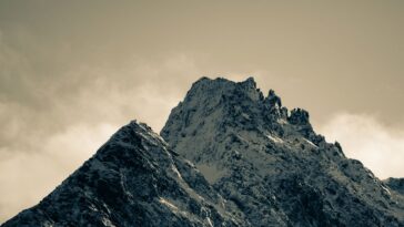 My First Year at Security Innovation