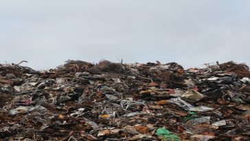 New technology to make edible cement from food waste