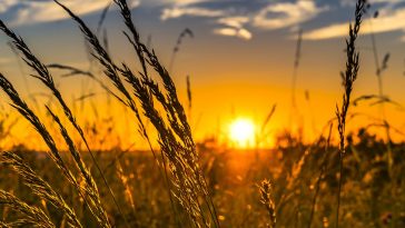 "Farming for Our Future" tackles sustainable agriculture