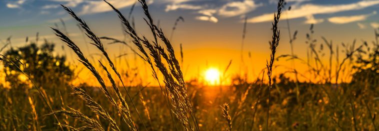 "Farming for Our Future" tackles sustainable agriculture